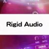 Rigid Audio レビューとおすすめ